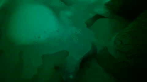 Yuri online show from 12.22.24