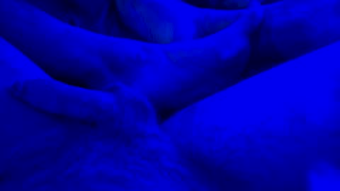 Yuri online show from 01.14.25