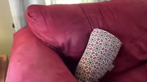 Snapshot of just4you101 chatting on 03.01.25 Flirty influncer online show from 03.01.25