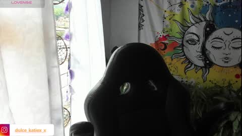 Snapshot of just_katiex chatting on 01.19.25 Sofia online show from 01.19.25