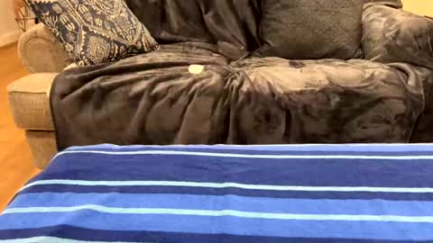 Snapshot of just_ur_avg_cpl chatting on 02.17.25 justuravgdad justuravgmom online show from 02.17.25