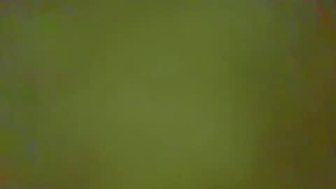 McKeefer online show from 02.25.26