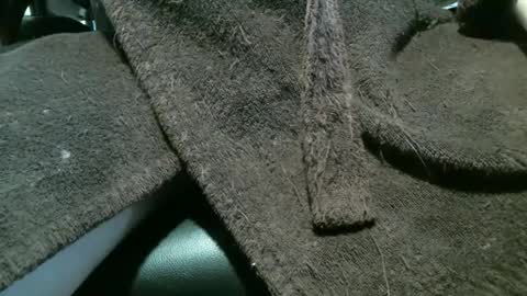 Snapshot of justhere2playagain chatting on 01.02.25 justhere2playagain online show from 01.02.25