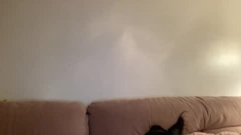 Snapshot of justjessiedirtygirl chatting on 03.02.26 Jess online show from 03.02.26