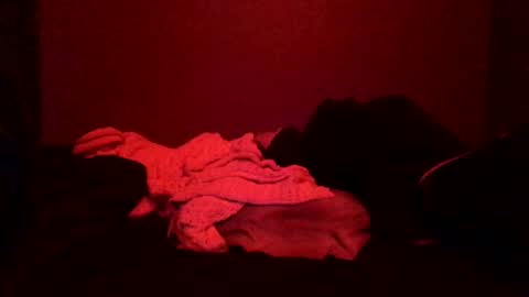 Call me Just online show from 03.08.25