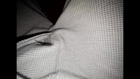 justswack online show from 12.08.24