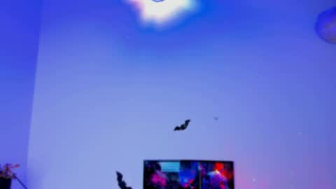 Kaaiiri online show from 01.03.25