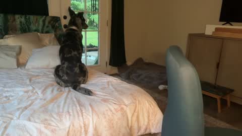 Snapshot of kaileeshy chatting on 02.07.26 Kailee Smile online show from 02.07.26