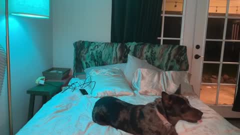 Snapshot of kaileeshy chatting on 02.10.26 Kailee Smile online show from 02.10.26