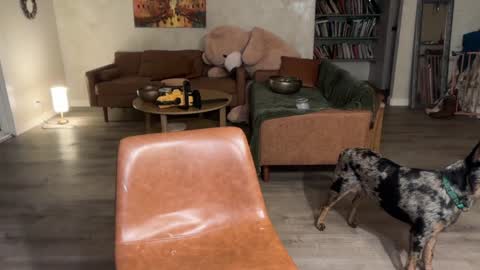 Kailee Smile online show from 03.06.26