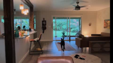 Kailee Smile online show from 03.28.26