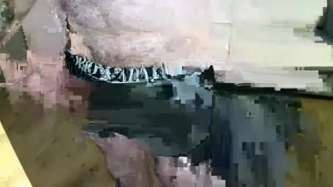 MusicMen49 online show from 12.22.24