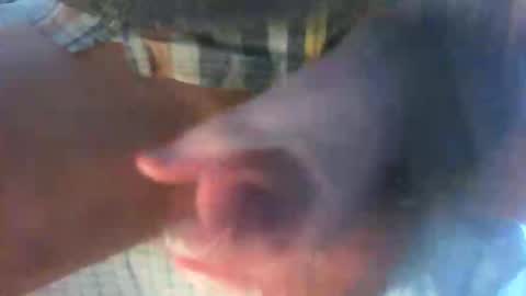 kamabo2 online show from 04.07.26