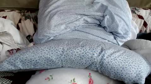 kaonashi69 online show from 01.19.25