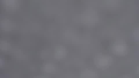 Emma online show from 01.23.25