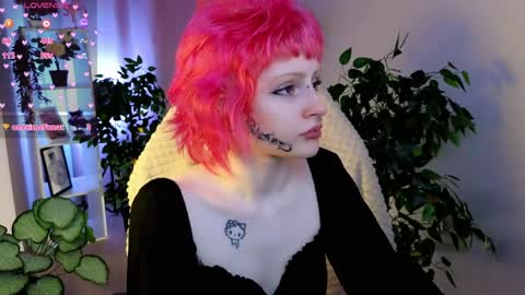 karkadeshk online show from 04.09.26