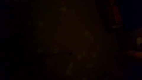 Karla Gonzaless online show from 11.06.25