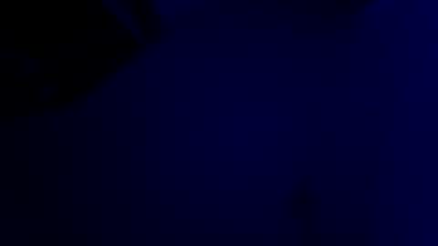 Karla Gonzaless online show from 11.28.25