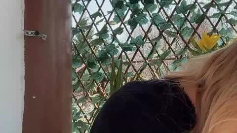 karoline121 online show from 03.17.26