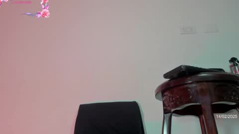 Snapshot of karoline_marin chatting on 02.14.25 Karoline online show from 02.14.25