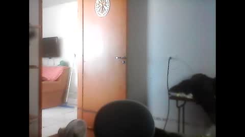 kasadocarente online show from 01.17.26