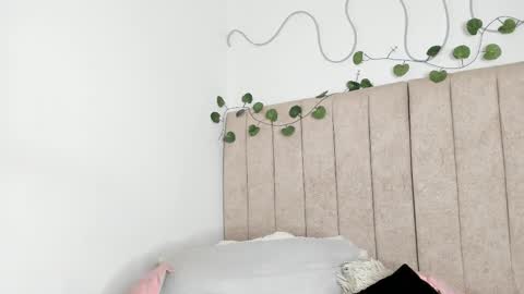           online show from 01.12.26