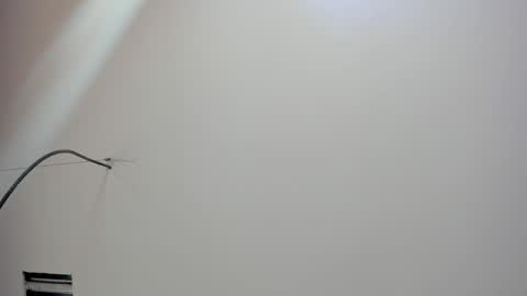 Kate  online show from 02.18.26