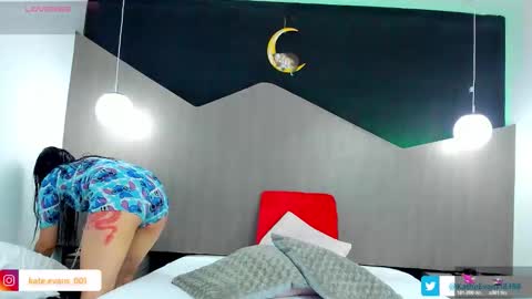 Kate Evans online show from 03.01.26