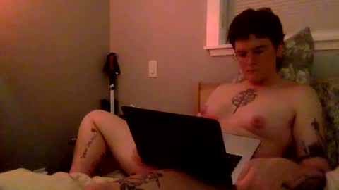 katerinekitten online show from 07.02.26