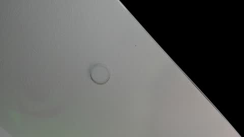 love meeee online show from 02.08.25