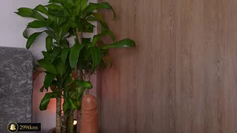 Katie online show from 11.20.25