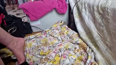 katladyzsafespace online show from 12.04.25