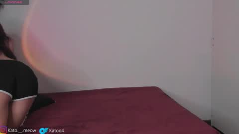 Kato online show from 04.24.26