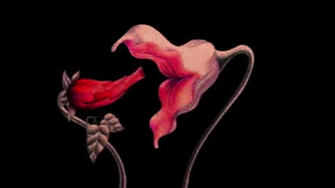 Snapshot of katsurotaro chatting on 11.14.25 katsuro online show from 11.14.25