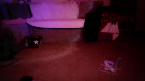 kattattacck online show from 06.09.26