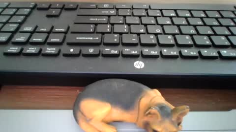 Snapshot of kawa98karbu chatting on 07.17.26 kawa98karbu online show from 07.17.26