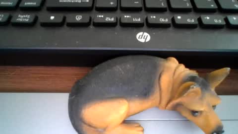 Snapshot of kawa98karbu chatting on 07.21.26 kawa98karbu online show from 07.21.26
