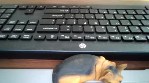 Snapshot of kawa98karbu chatting on 07.22.26 kawa98karbu online show from 07.22.26