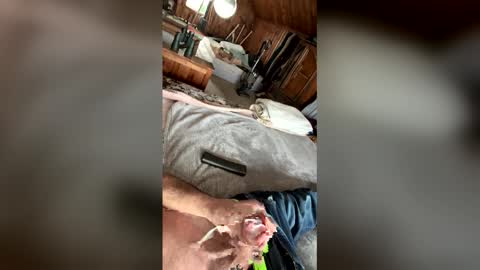 kckc40000 online show from 01.14.26