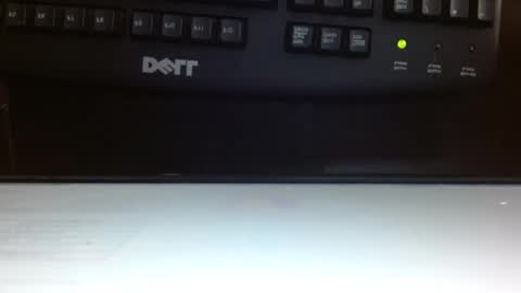 annie rosse16 online show from 01.08.26