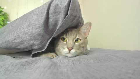 kelly_gerzikaaa online show from 04.05.26