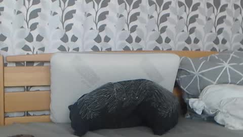 kelywild20 online show from 07.25.26