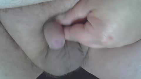 maggot online show from 01.04.25