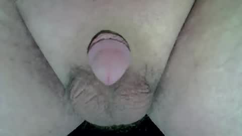 maggot online show from 04.05.26