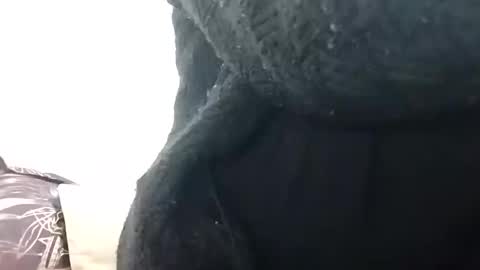 khushisinghh online show from 12.14.24