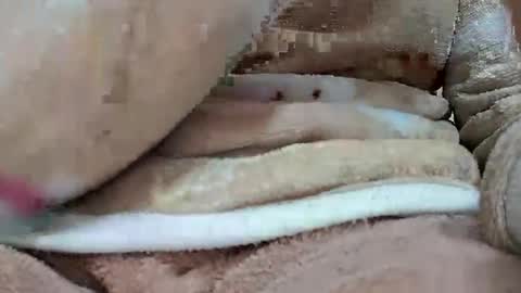 khushisinghh online show from 01.22.25