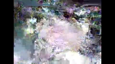 ki389253 online show from 03.04.26