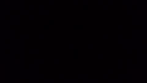 Frankie online show from 11.01.25