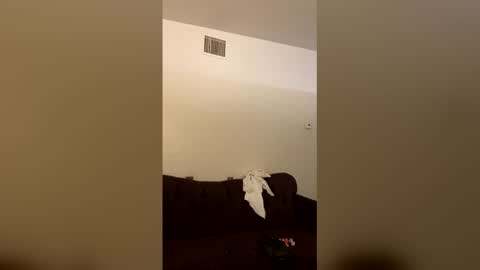 kingecstasyxxxddd online show from 03.16.26