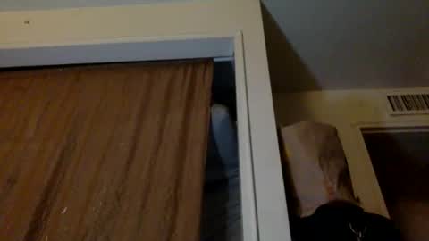 Snapshot of kinglibra420 chatting on 11.19.25 loyal fuck online show from 11.19.25